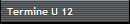 Termine U 12