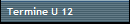 Termine U 12