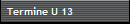 Termine U 13