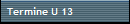 Termine U 13