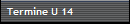 Termine U 14